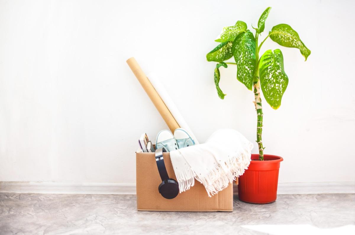 How To Shop At An Estate Sale (What To Do and Look For)